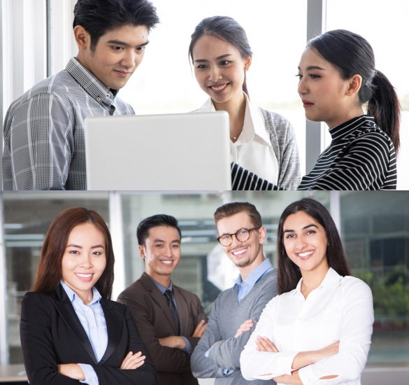 Who Should Attend APMS2024 ?